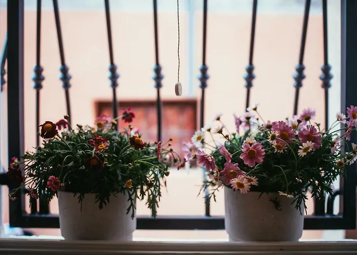 Em Kastelo Lägenhet *